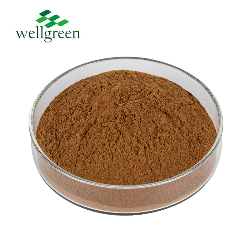 Fornecimento de Fábrica Pó de Extrato de Raiz de Ginseng Vermelho 5%~80% Ginsenosídeos Extrato de Ginseng Panax