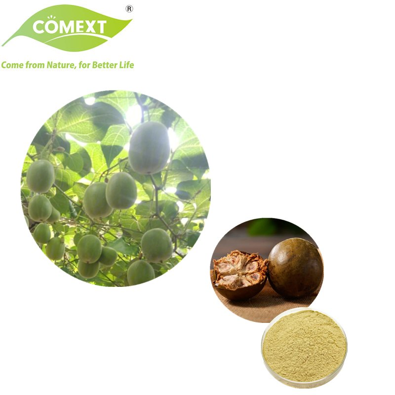 Fornecimento de Fábrica Comext 100%Natural Extrato de Planta Antioxidante Extrato de Momordica Grosvenori Extrato de Fruta Monge 5: 1 3: 1 2: 1