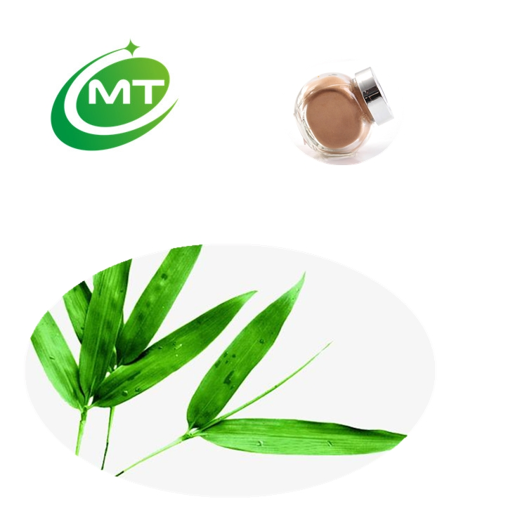 100% Melhor Preço Melhor Qualidade Extrato de Folha de Bambu Orgânico
