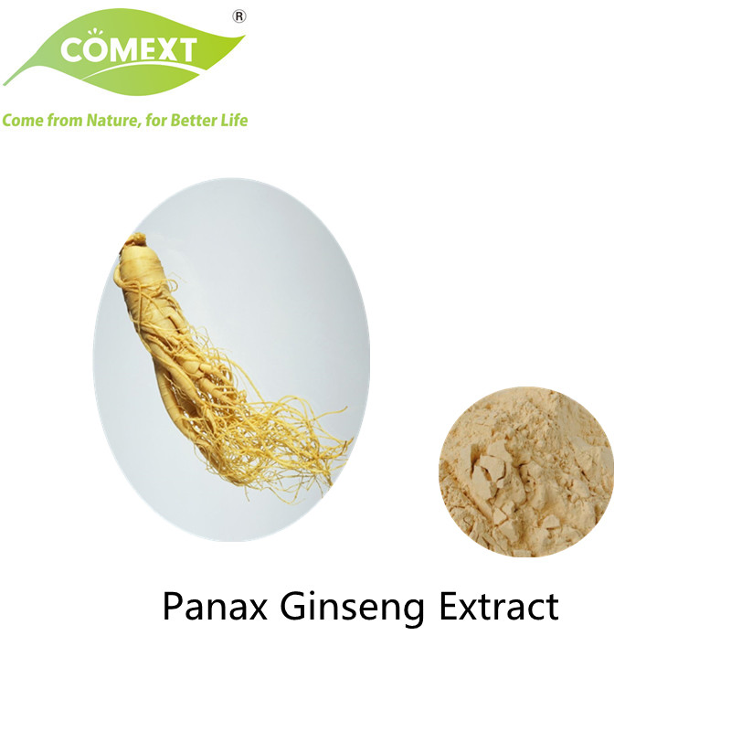 Extrato Natural de Planta com Baixo Resíduo de Pesticidas Comext Extrato de Panax Ginseng de 80% UV com Amostra Grátis Erva Herbal para Ginsenosídeo