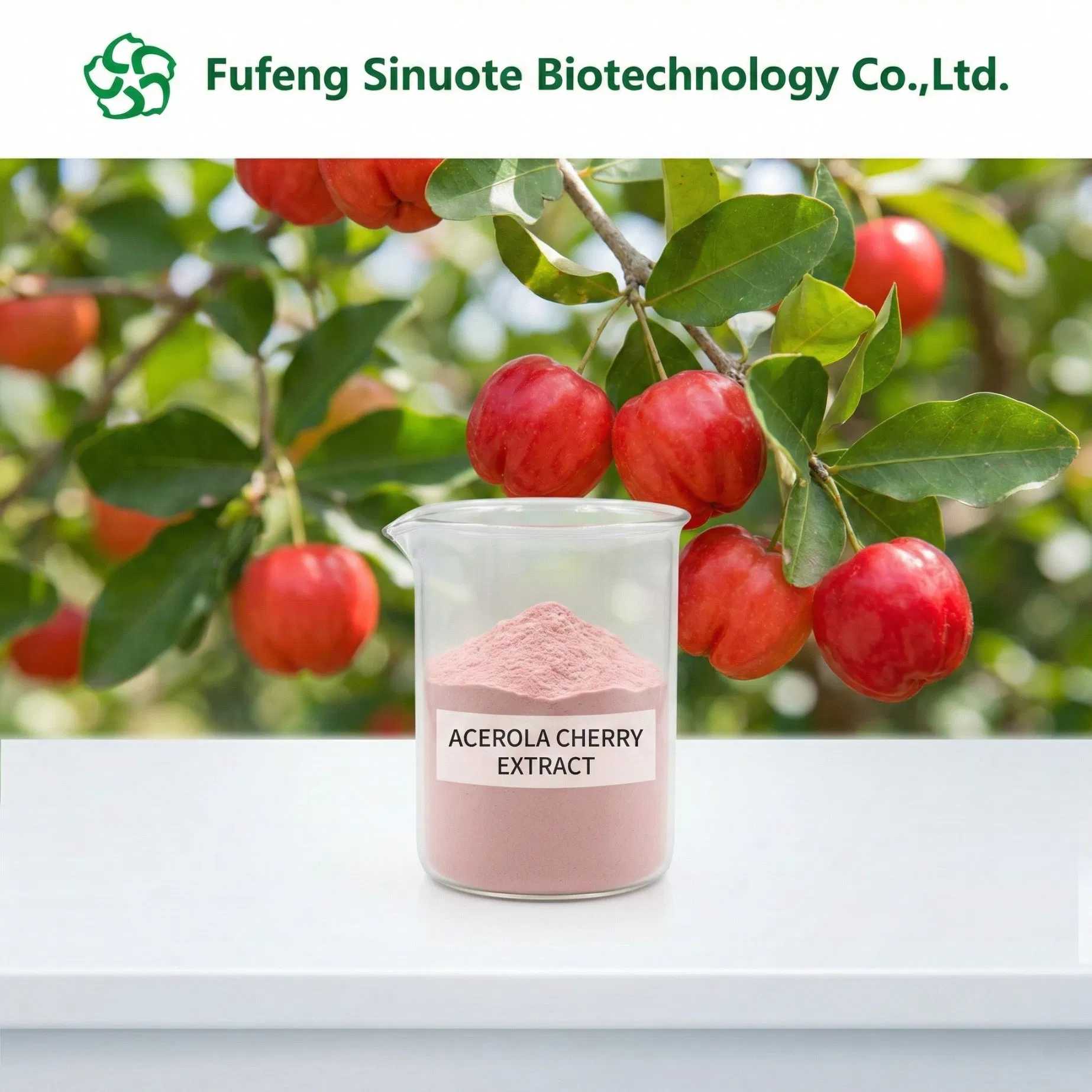 Pó de Extrato de Cereja Acerola (Estandarizado 17%-25% Vitamina C Natural) Superfruta para Suporte Imunológico e da Pele