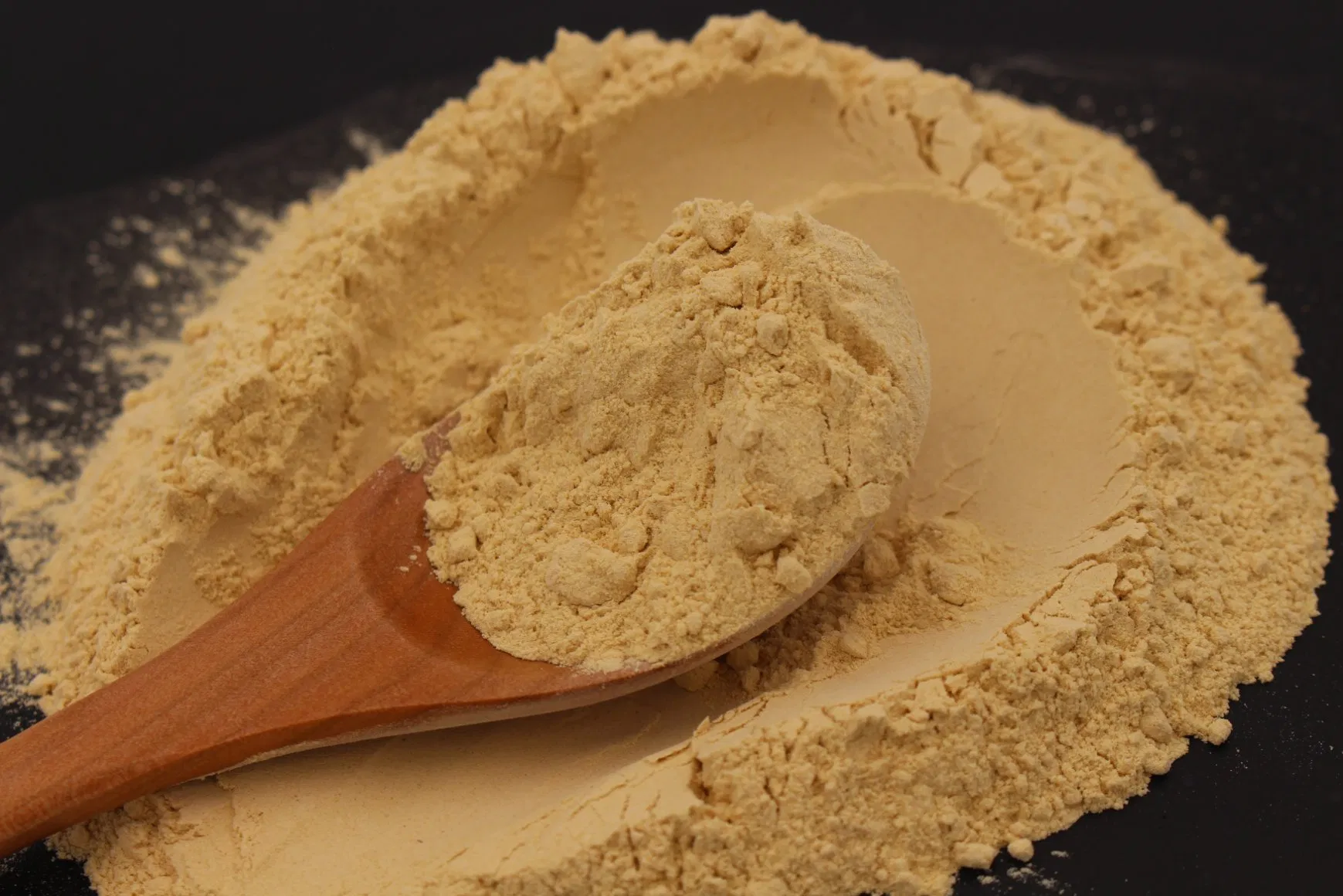 100% solúvel em água extrato de folha de ginseng panax