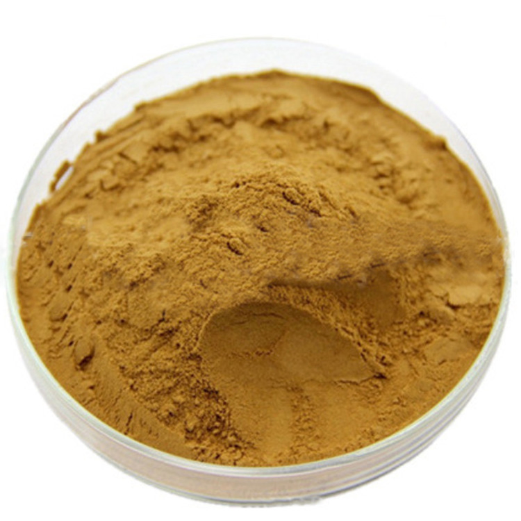 Extrato em Pó de Ashwagandha com Withanolides de Planta Natural 10%