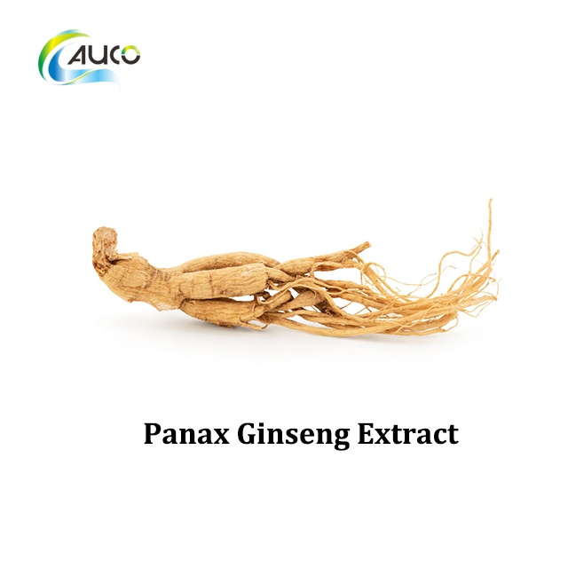 Extrato de Ginseng Panax de Alta Qualidade para Melhoria da Saúde e Bem-Estar