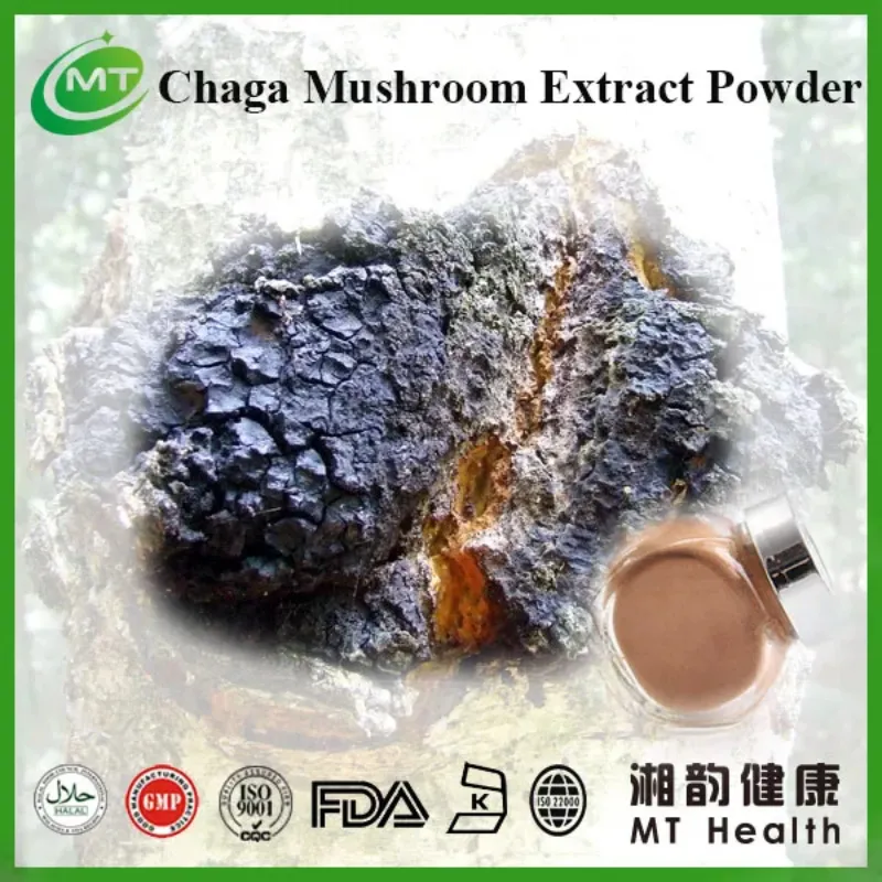 Extrato de Cogumelo Chaga Puro 1