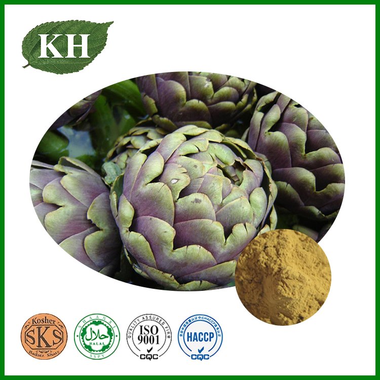 Extrato de Alcachofra HPLC Natural Alto 0.5% 5% Cinarina