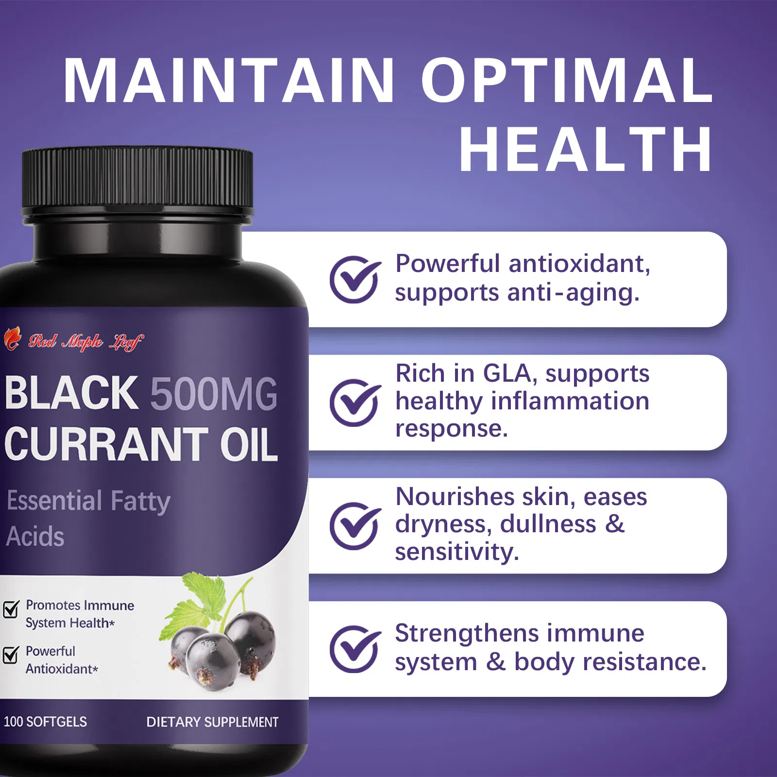 Óleo de Groselha Negra 500mg Softgels - Apoia o Envelhecimento Saudável, Resposta Inflamatória Saudável e Saúde da Pele