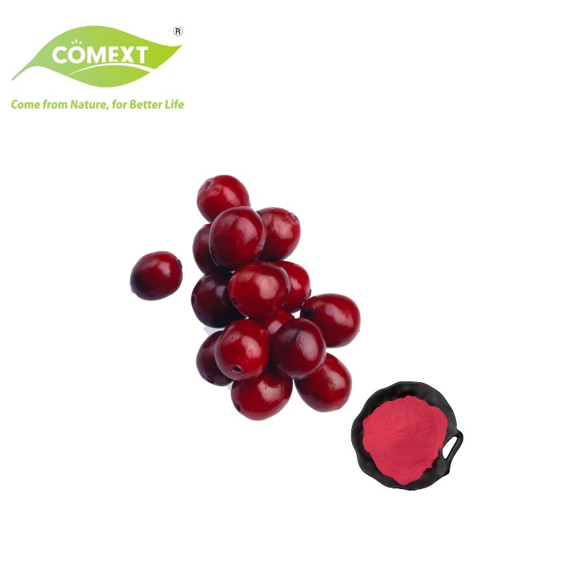 Fornecimento Direto de Fábrica Comext Extrato de Planta para Saúde Antioxidante Natural Puro 10%- 70% Extrato de Cranberry PAC