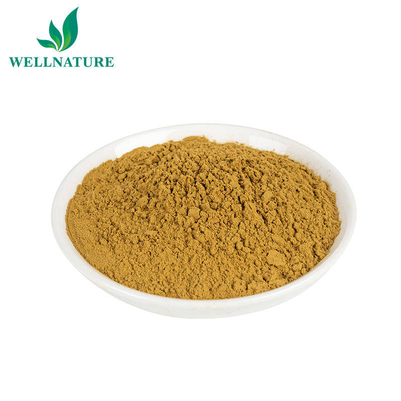 Pó de Echinacea Purpurea Padronizado Natural para Suporte Imunológico Extrato de Echinacea