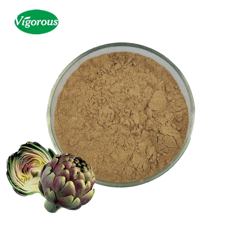 Extrato Orgânico de Alcachofra em Pó Cynara Scolymus L por Atacado