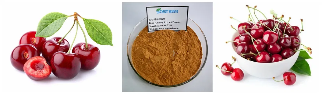 Extrato de Acerola Certificado ISO Novo Produto