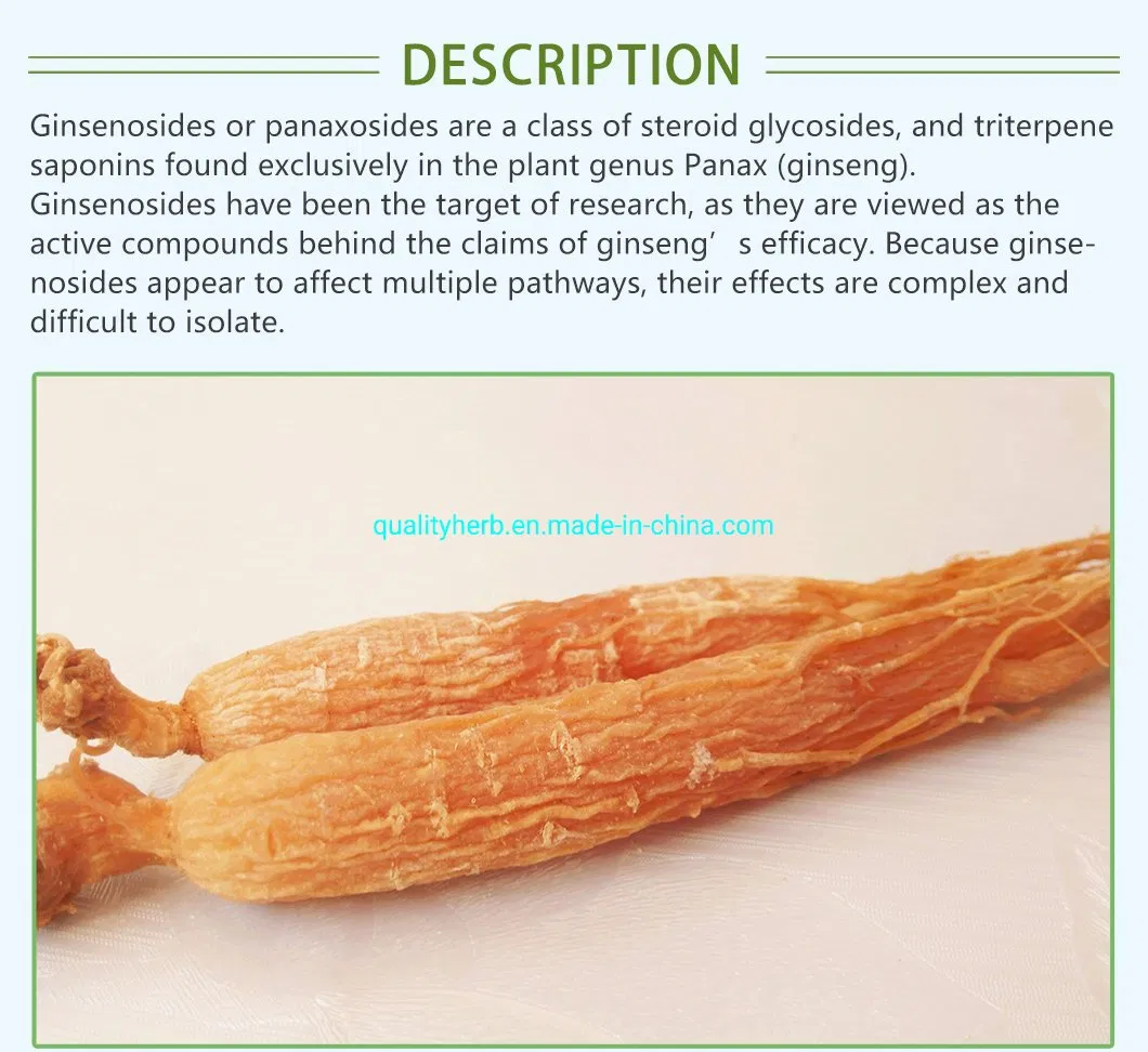 Fornecimento de Fábrica 80% Extrato de Ginseng Panax UV