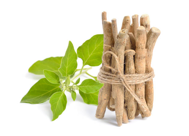 Extrato de Ashwagandha - Alívio Natural do Estresse e Extrato de Planta Adaptogênica para Suplementos, Alimentos Funcionais e Cosméticos