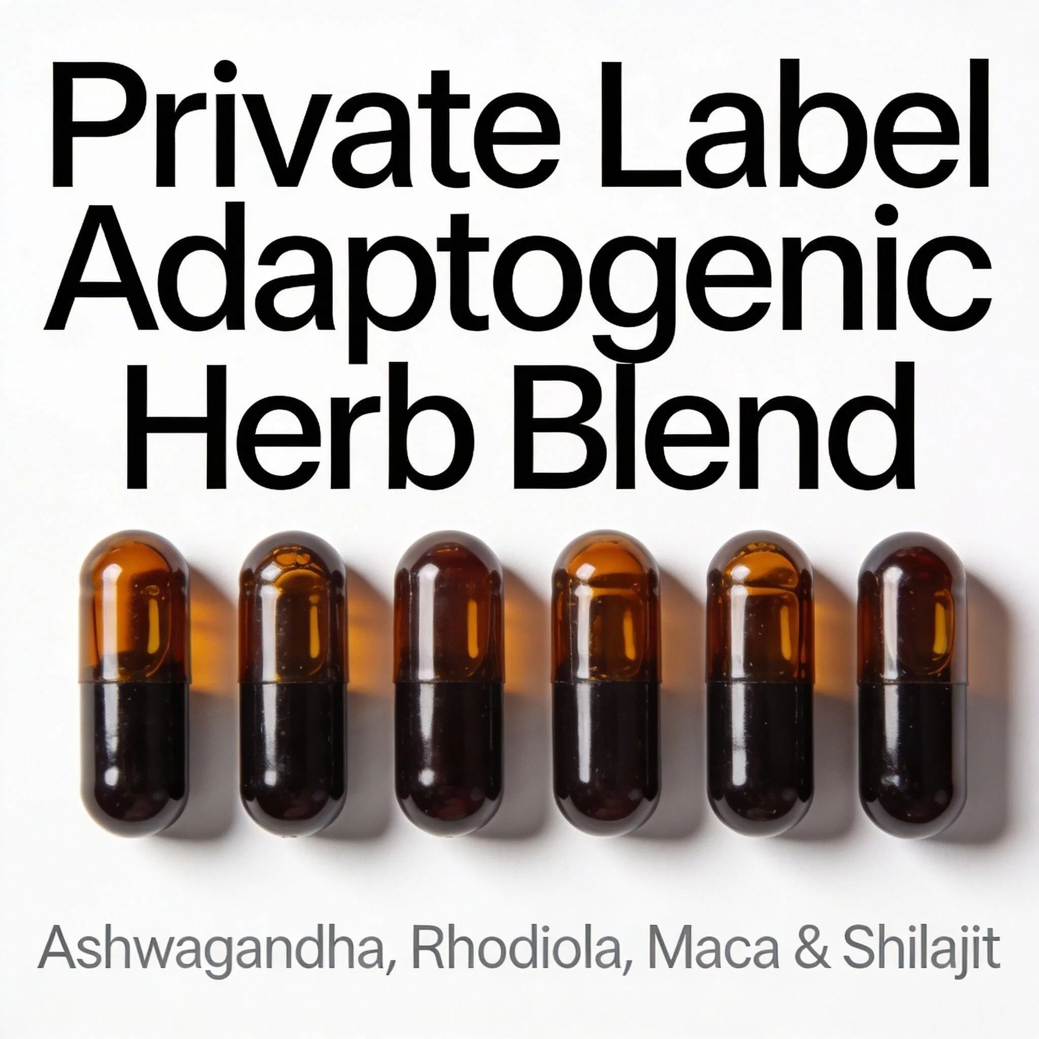 Cápsulas de Mistura de Ervas Adaptogênicas de Marca Própria com Ashwagandha, Rhodiola, Maca e Shilajit