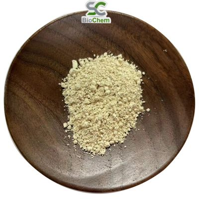 Pó de Extrato de Ginseng Panax Extrato de Folha e Raiz de Ginseng 4%~80% Ginsenosídeo