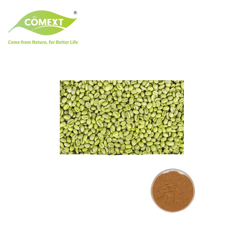 Certificado Kosher Halal Comext Suplementos Nutricionais Perda de Peso Pó Puro Ácido Clorogênico Extrato de Grão de Café Verde