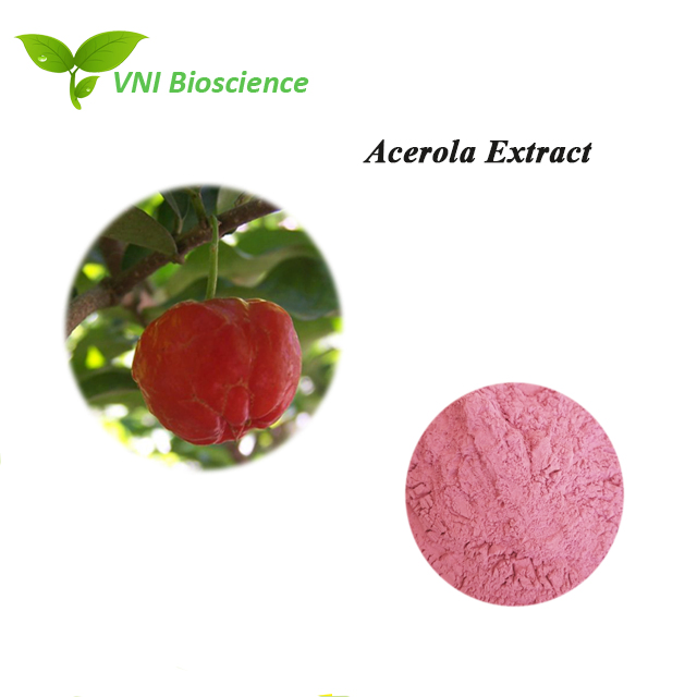 Certificado ISO Kosher 100% Pó Natural Vc 17% Extrato de Cereja Acerola