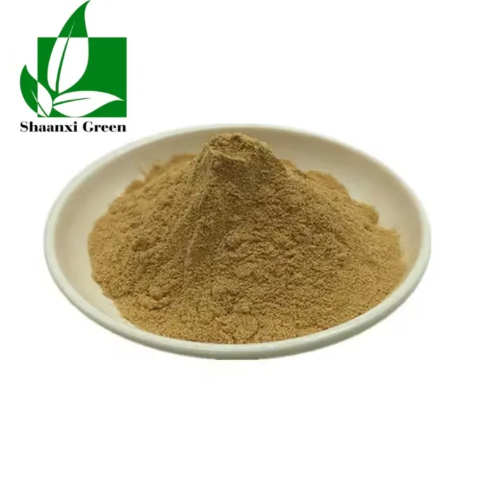 Extrato de Panax Ginseng pó concentrado