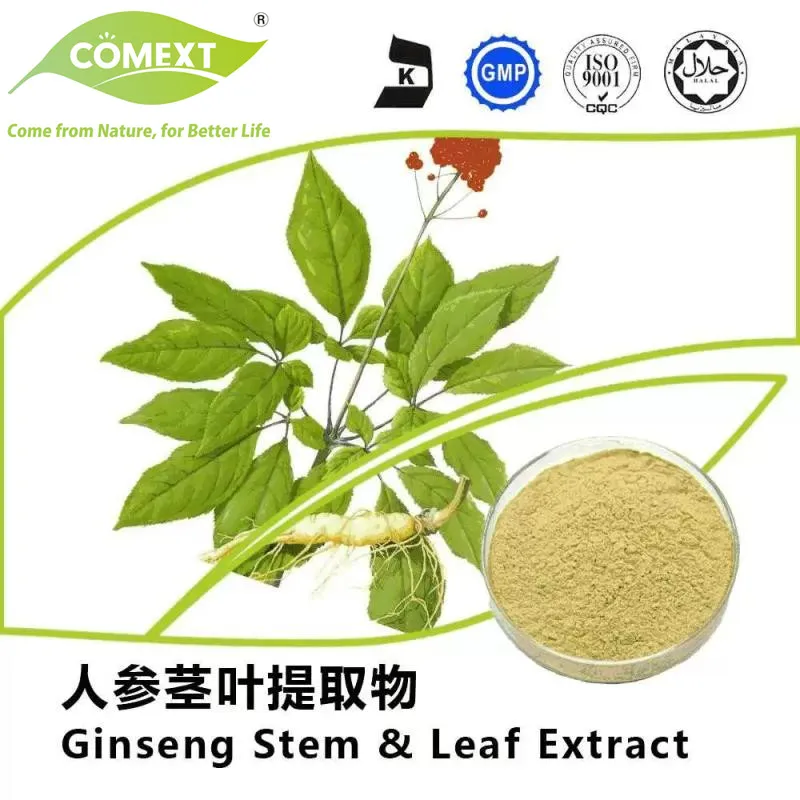 Fornecimento de Fábrica Extrato de Ginseng Panax 80% Ginsenosídeos com Alta Qualidade