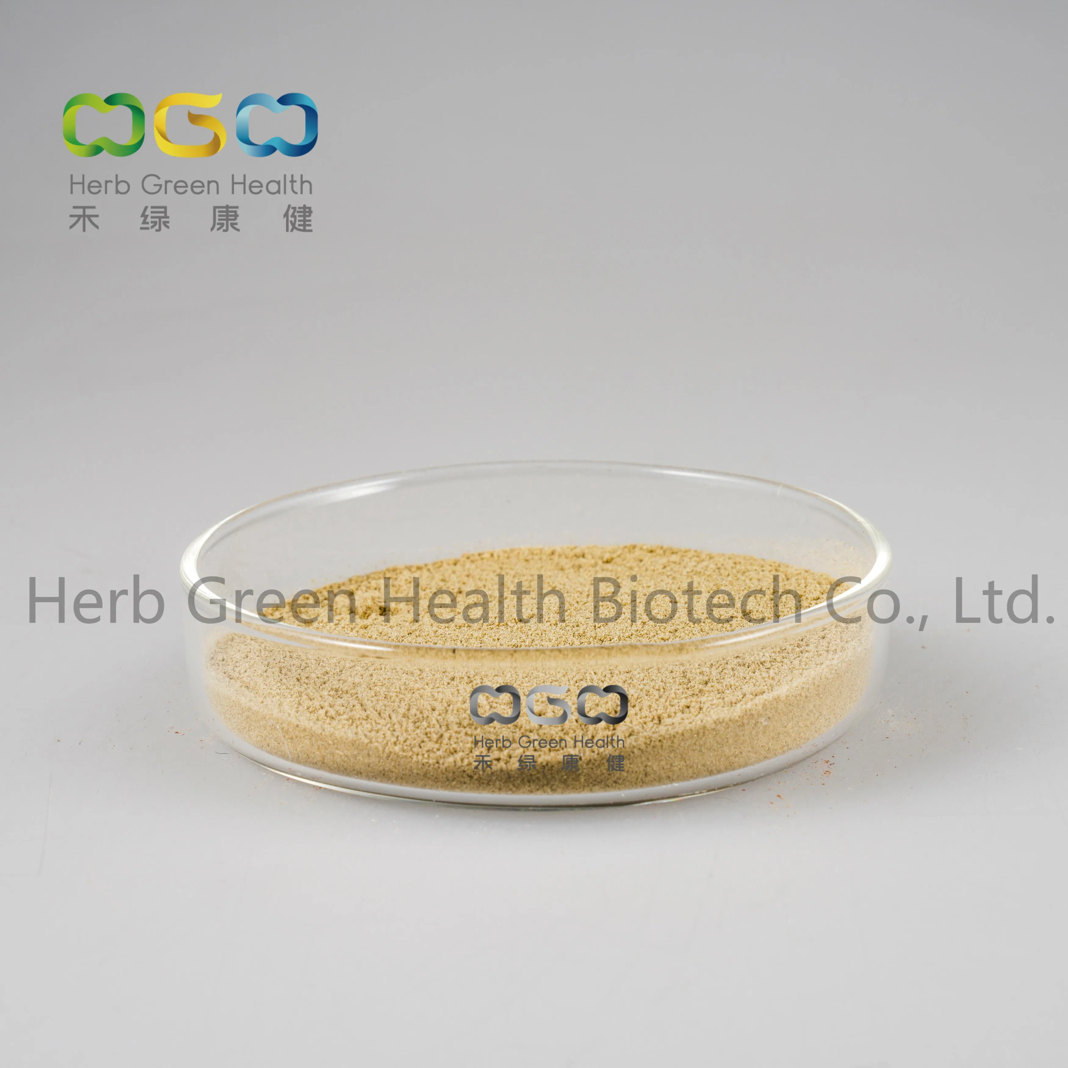 Extrato de Folha de Bambu em Pó Total de Flavonoides por Atacado 24% Venda Quente na China Amostra Grátis 100% Extrato Natural de Folhas de Bambu