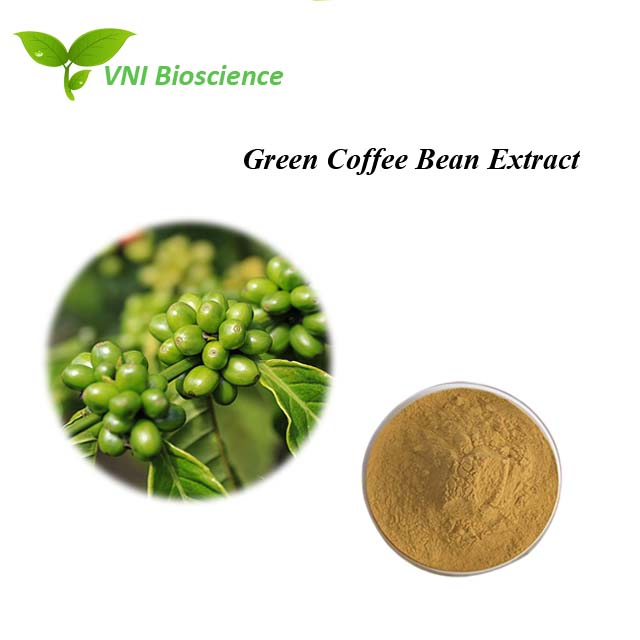 Certificado Kosher e Halal 100% Ácido Clorogênico Natural 70% 30% Extrato de Grão de Café Verde