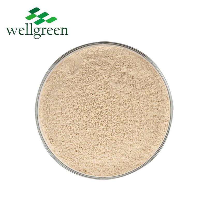 Pó de Extrato de Panax Ginseng Lipossomal de Alta Qualidade 5% Ginsenosídeo
