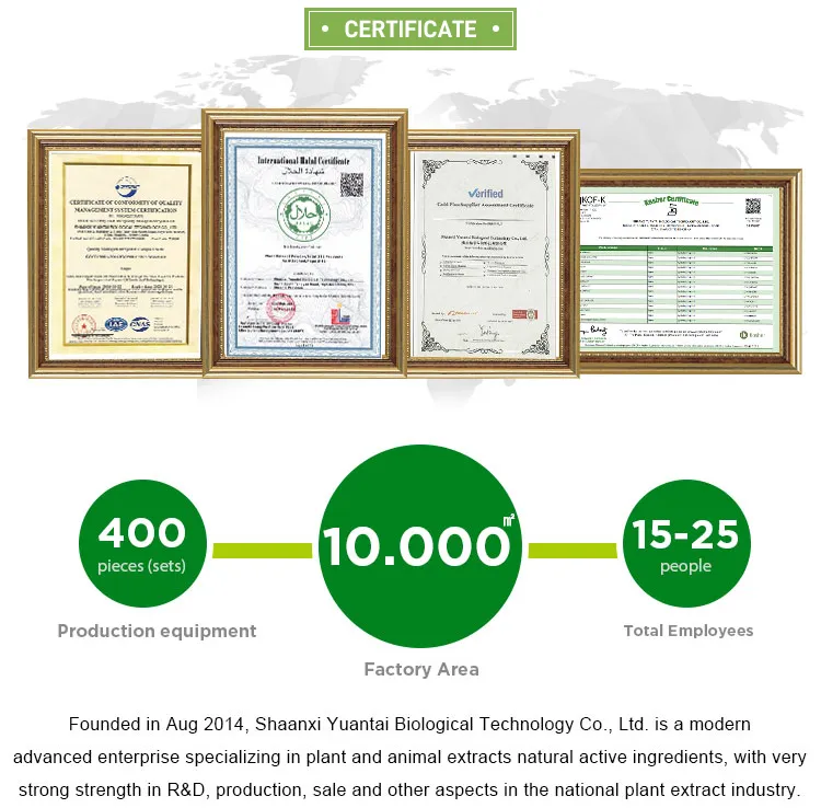 Fornecimento de Extrato de Folha de Bambu Silica 70% ISO22000 Fssc22000