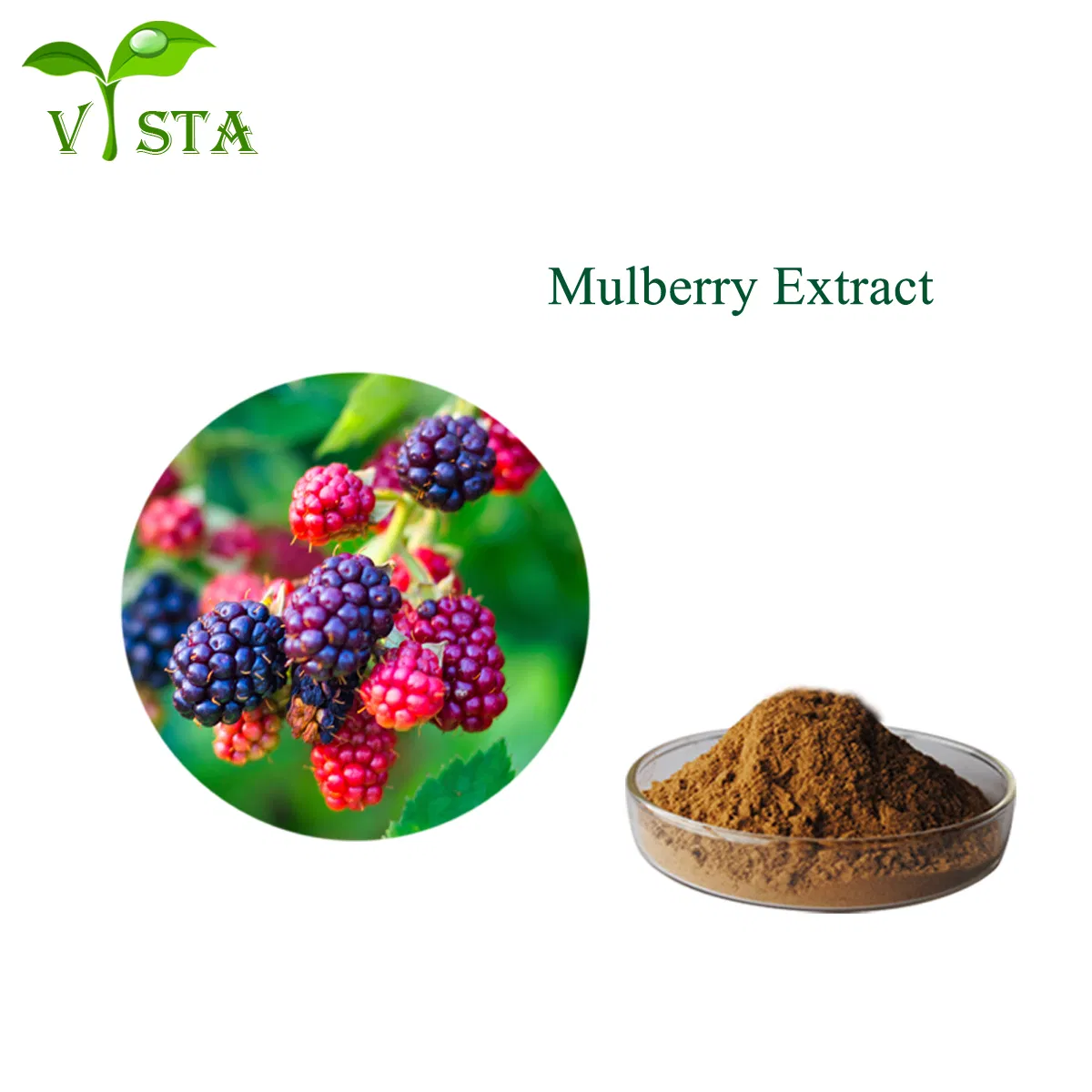 Extrato de Fruta de Amora Certificado ISO Puro Natural Extrato de Planta Forte Antioxidante Antocianidinas 25%