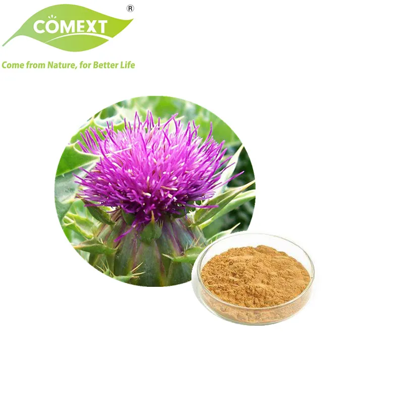 Extrato de Milk Thistle Silimarina