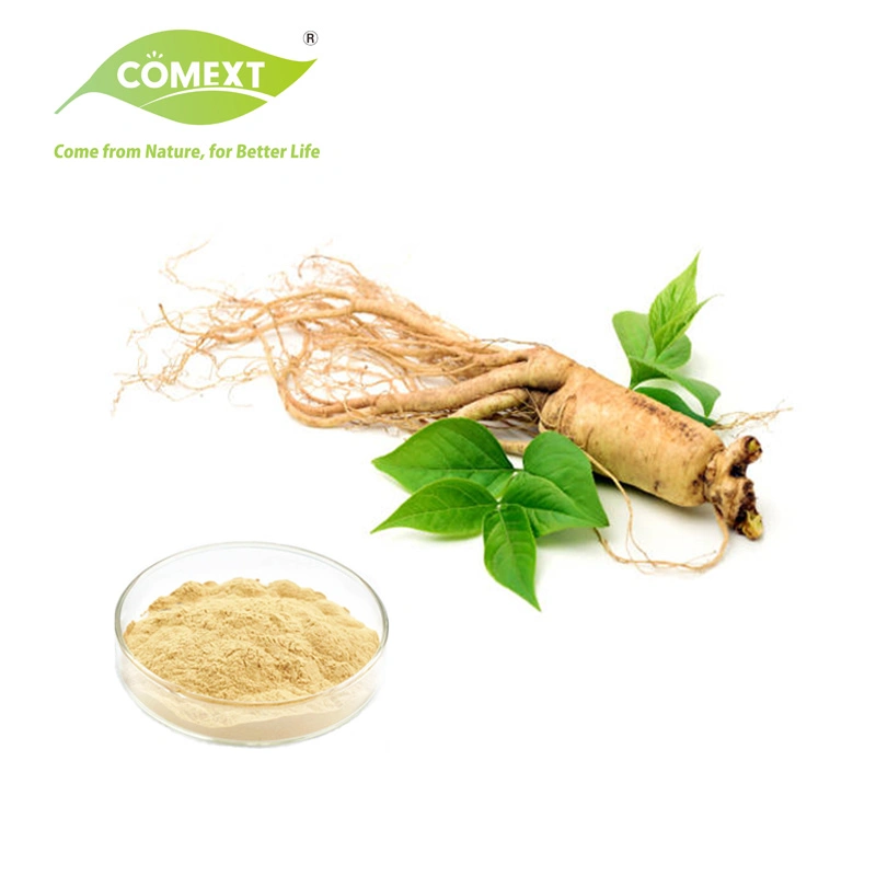 Comext Fabricante Amostra Grátis Medicina Tradicional Chinesa Orgânica HPLC 10% 80% Ginsenosídeos Polissacarídeos Pó Planta Vermelha Coreana Extrato de Panax Ginseng