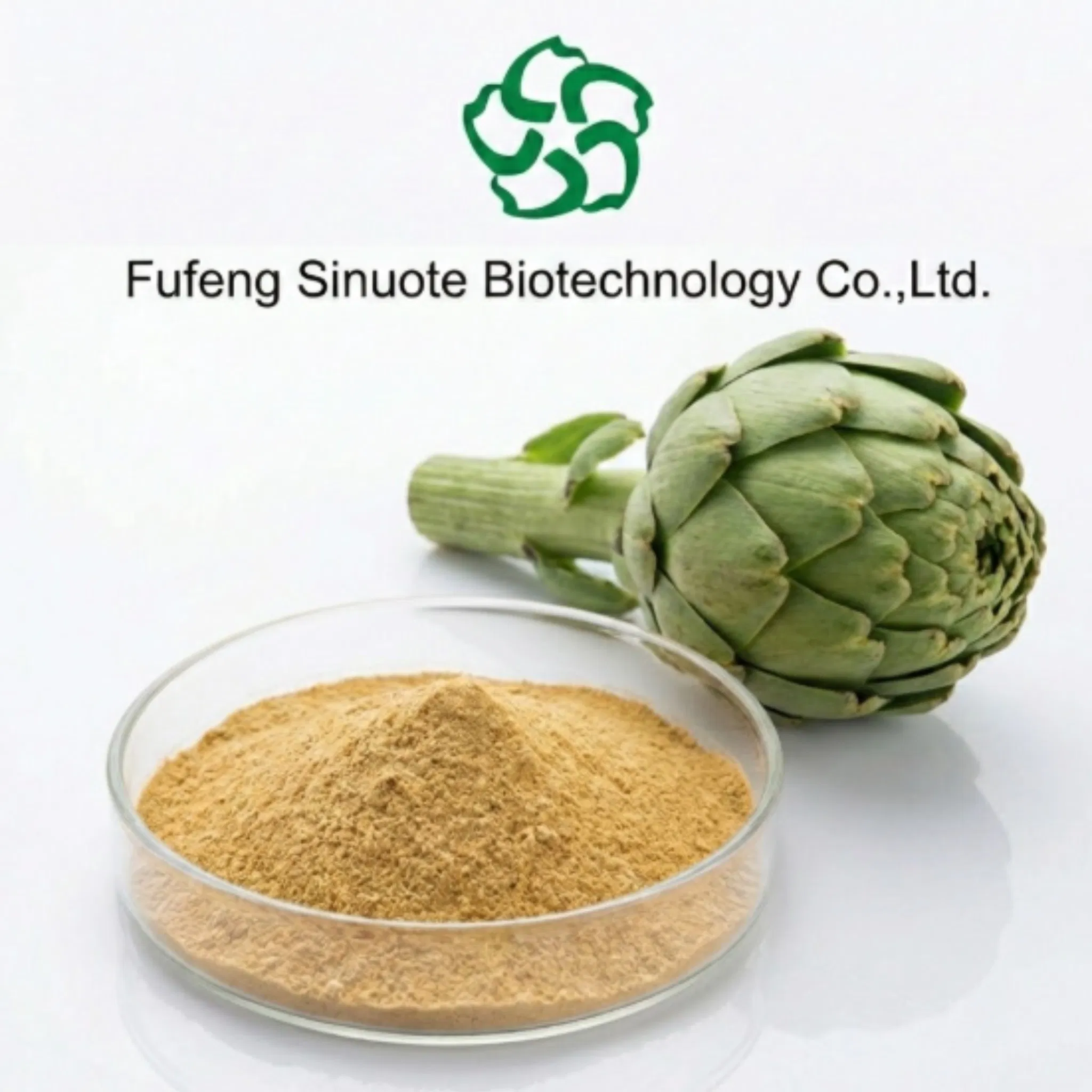 Extrato de Alcachofra (Cynara scolymus) Cinarina 5% HPLC Natural Detoxificação do Fígado e Auxiliar Digestivo para Fluxo Biliar Padrão cGMP