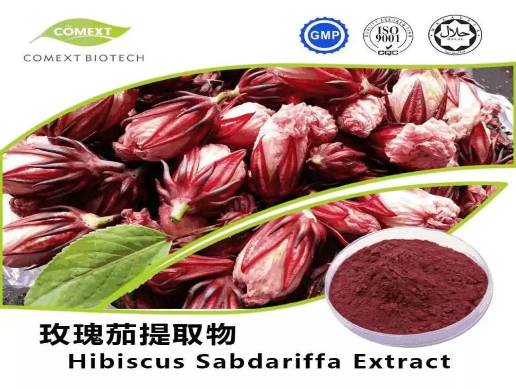 Extrato em Pó de Flor de Hibisco Sabdariffa UV 10% Antocianidina para Antioxidante