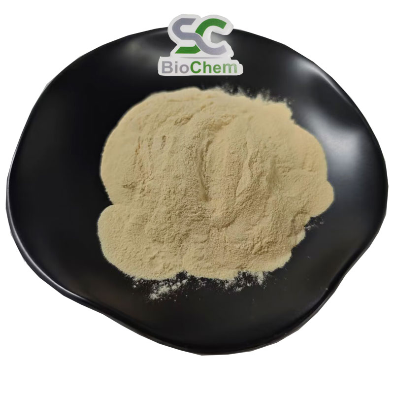 Antioxidante Natural Vitamina C 17% 25% Pó de Extrato de Cereja Acerola