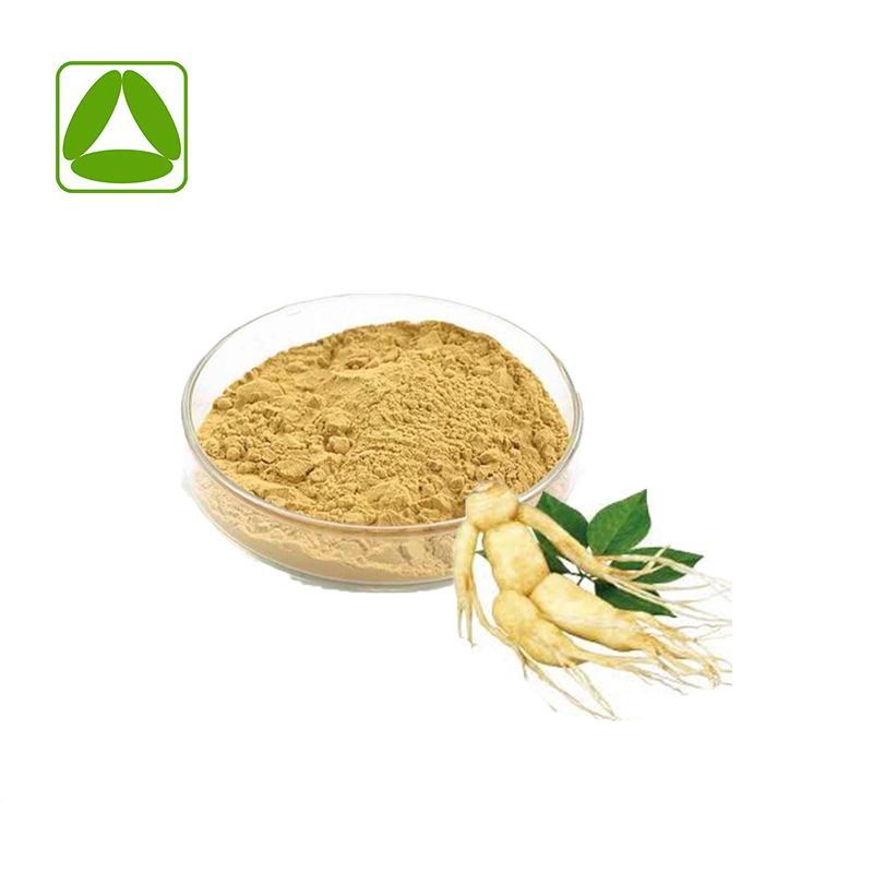 Pó de ginsenosídeo de fornecimento de fábrica extrato de ginseng panax