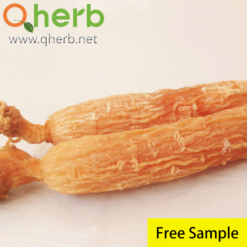 Fornecimento de Fábrica 80% Extrato de Ginseng Panax UV