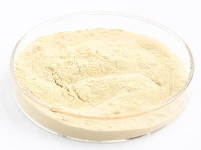 Pó de Extrato de Panax Ginseng de Alta Pureza 5% 80% Ginsenosídeos para Alimentos Bebidas Cosméticos