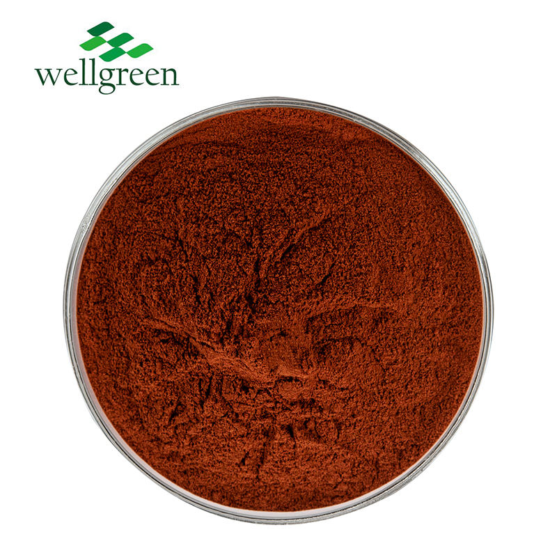 Pó de Extrato de Rhodiola Rosea Atacadista Extrato Orgânico de Rhodiola Rosea Salidrosídeo