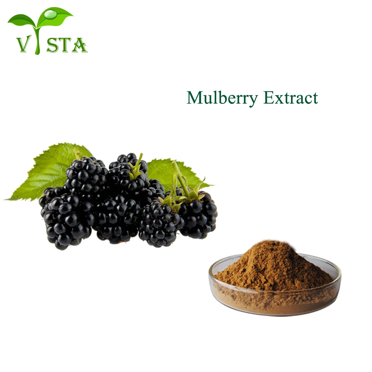 Extrato de Fruta de Amora Certificado ISO Puro Natural Extrato de Planta Forte Antioxidante Antocianidinas 25%