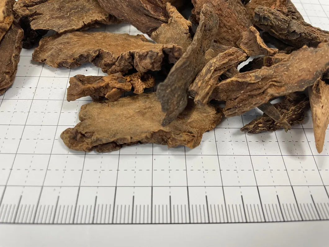 Erva Cynomorii Suo Yang Venda Quente Medicina Tradicional Chinesa Erva Natural Seca