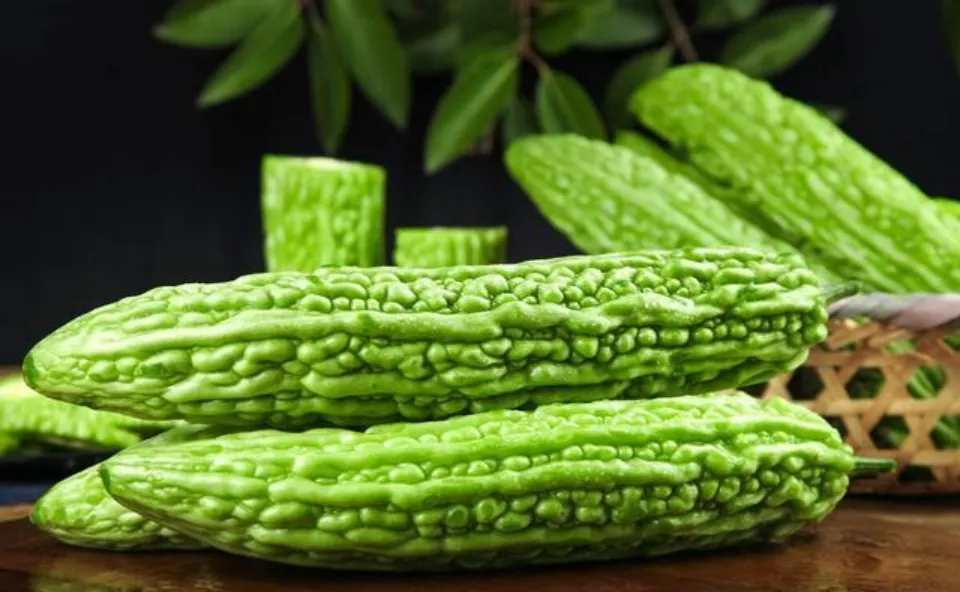 Extratos de plantas antioxidantes anti-inflamatórios Extrato de melão amargo