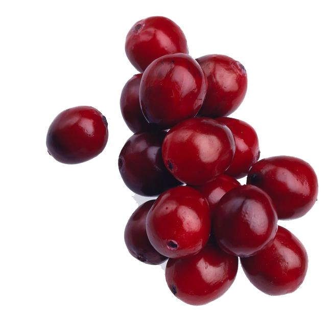 Fornecimento Direto de Fábrica Comext Extrato de Planta para Saúde Antioxidante Natural Puro 10%- 70% Extrato de Cranberry PAC