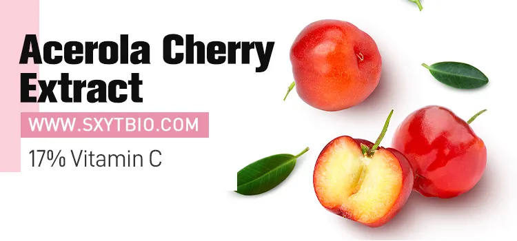 Extrato de Cereja Acerola Rico em Vitamina C Pó de Extrato de Fruta de Cereja Acerola