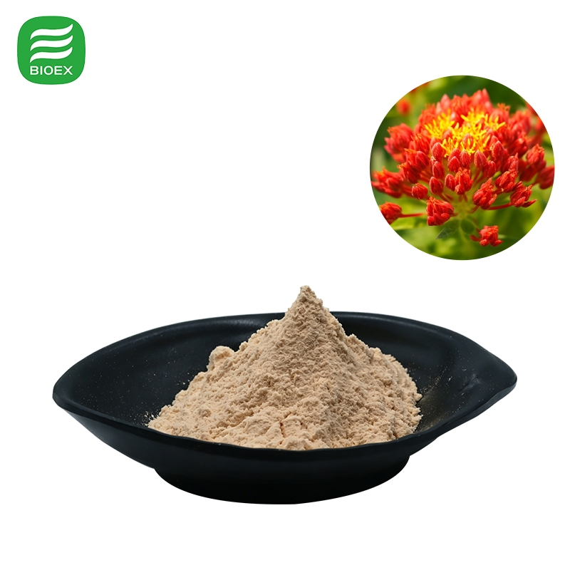 Extrato de Rhodiola Rosea Salidrosídeo 1% 3% 5% Rosavina 3% Extrato de Rhodiola Solúvel em Água