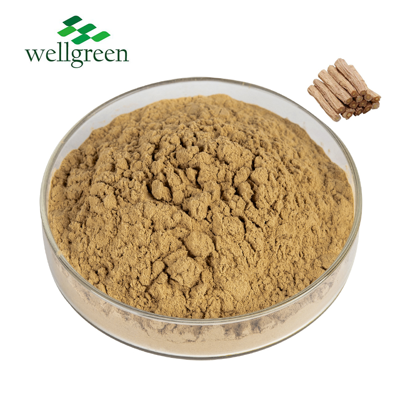 Extrato de Codonopsis C-GMP Potente 10% Saponina Extrato de Raiz de Codonopsis Pilosula
