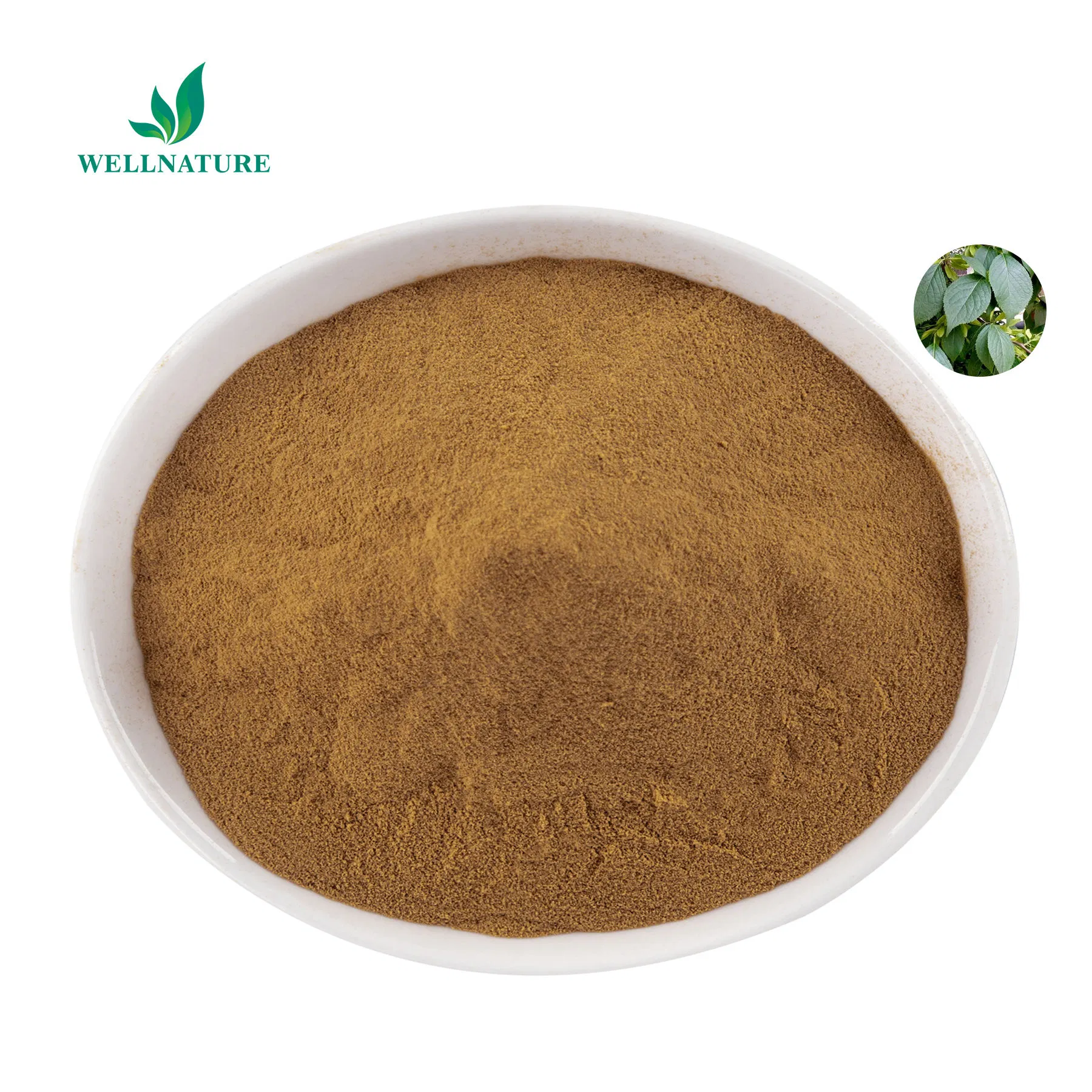 Extrato em Pó de Folha de Eucommia Natural Padronizado para Suplementos Dietéticos com 20%-40% Flavonoides (EU-LE20)