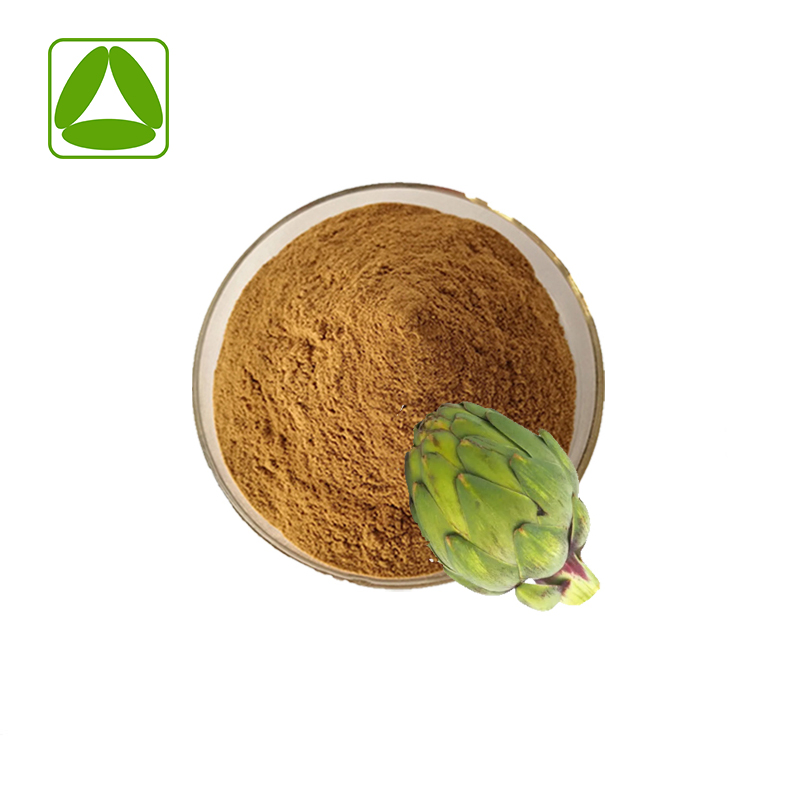 Pó de Extrato de Folha de Alcachofra Natural de Grau Alimentício 10: 1 Extrato de Planta Puro Amostra Grátis Disponível