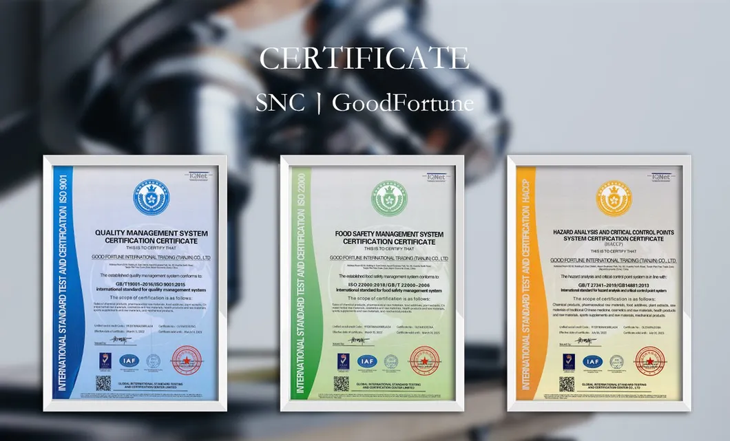 Certificação 1