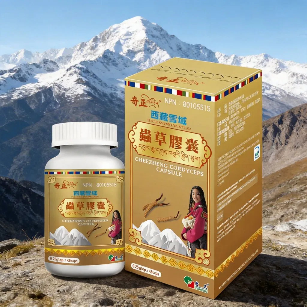 Cápsula de Extrato de Cogumelo Cordyceps Premium Suplemento de Saúde para Aumento da Imunidade