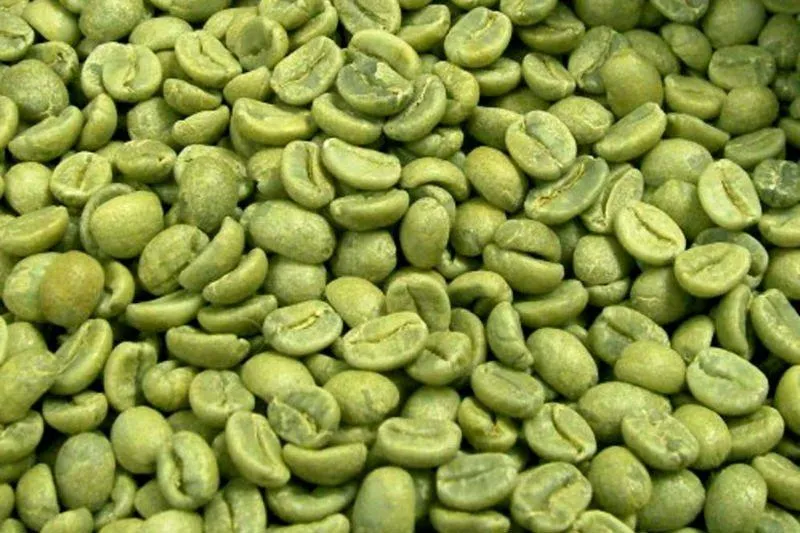 100% Extrato de Grão de Café Verde Natural para Suplemento de Saúde