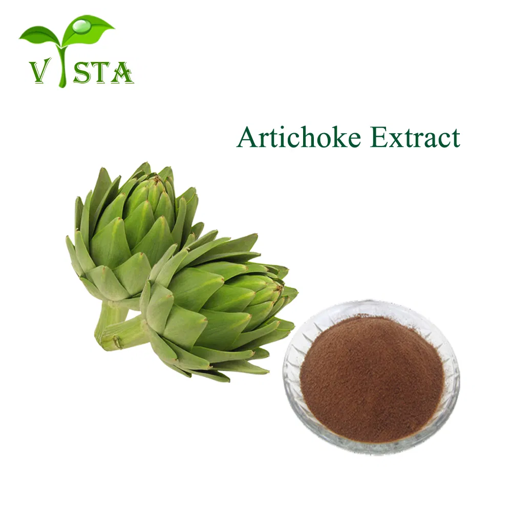 Venda Quente Extrato Herbal Cynara Scolymus Cinarina Extrato de Alcachofra Extrato de Folha de Alcachofra